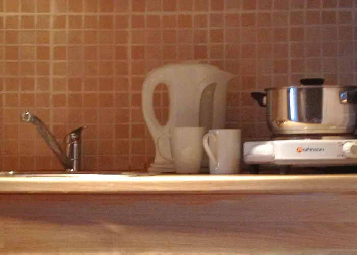 Ammon Garden بيفكوهوري