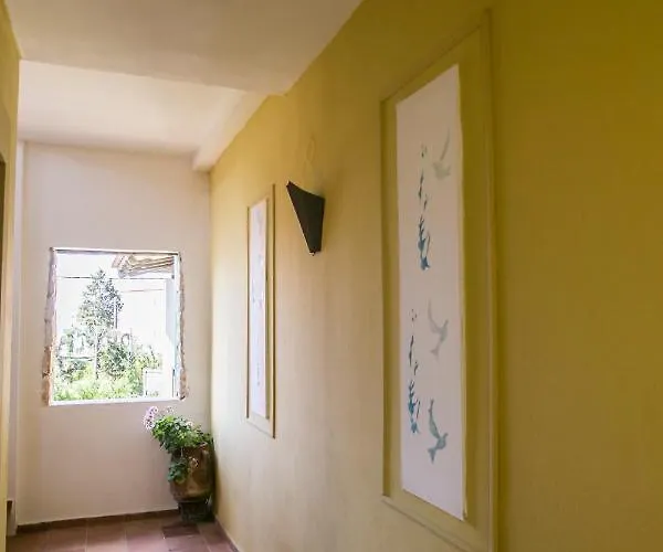 Apartmanhotel Ammon Garden